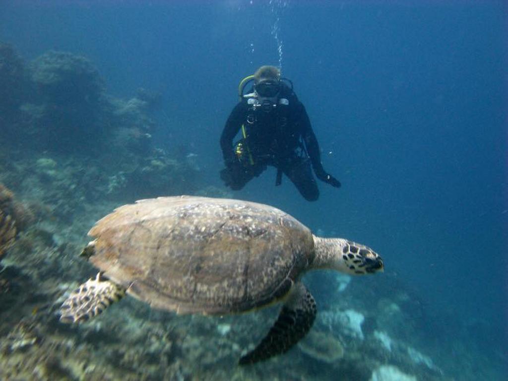 Seribu Resort Thousand Island Kepulauan Seribu المظهر الخارجي الصورة