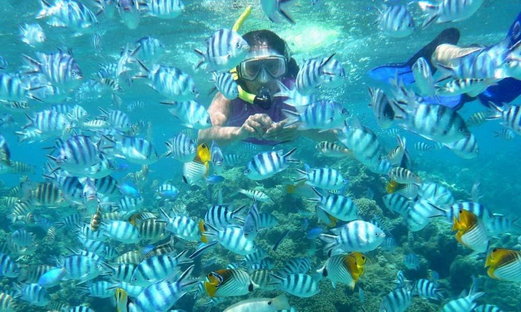 Seribu Resort Thousand Island Kepulauan Seribu المظهر الخارجي الصورة